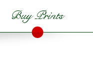 buy my prints