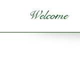 go to home page