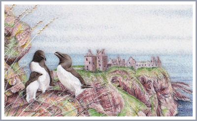 Dunottar Dwellers