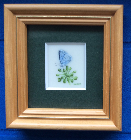 holly blue