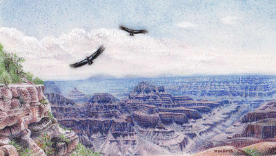 Kings of the Canyon