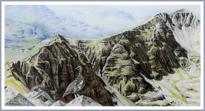 King of the Cuillins